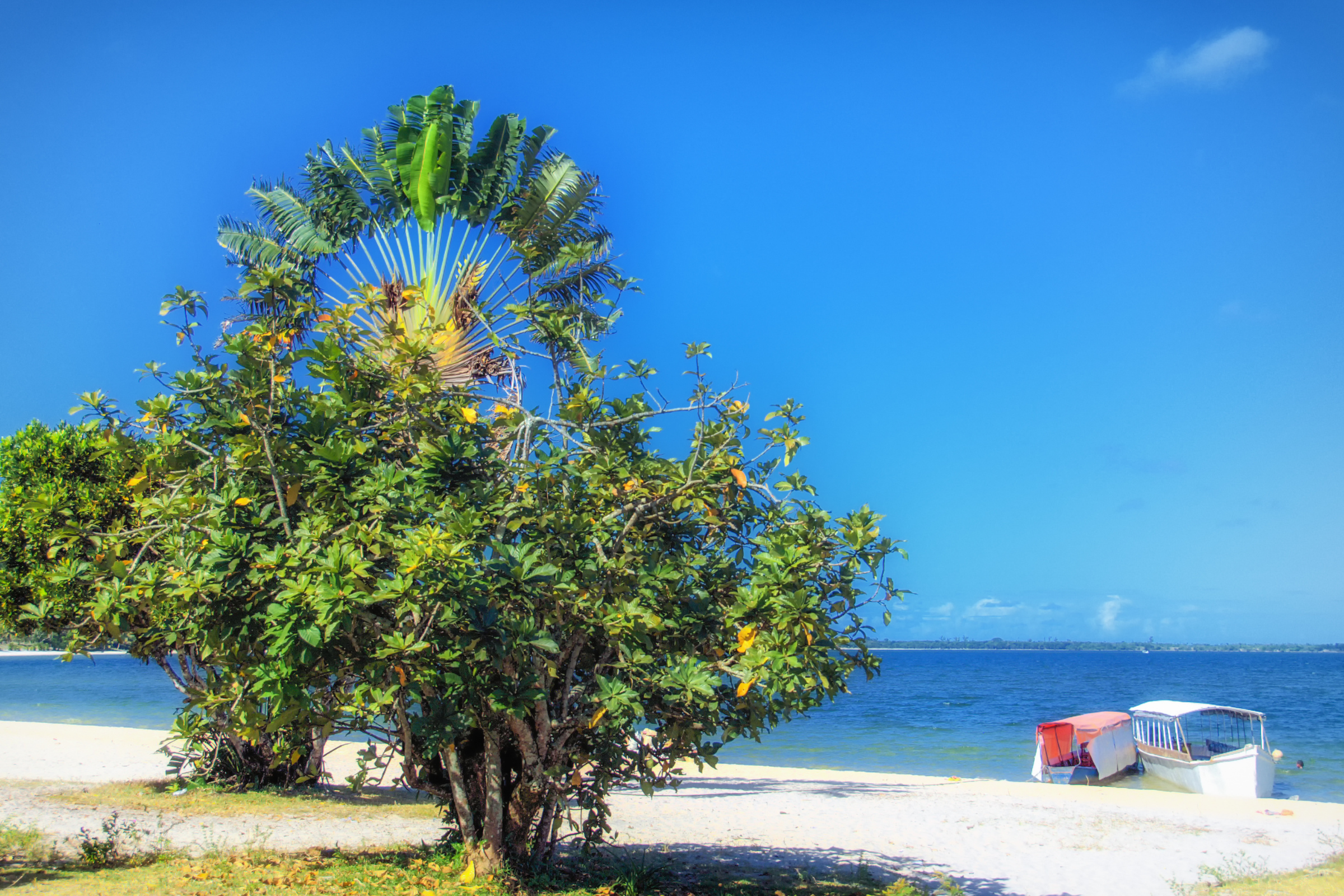 184 madagascar.webp